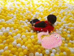 -宝燕乐园(闵行旗舰店)