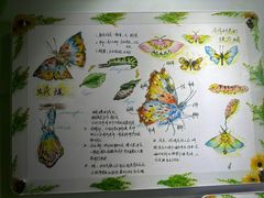 -上海昆虫博物馆