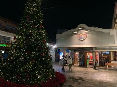 -Bubba Gump Shrimp(Ala Moana)