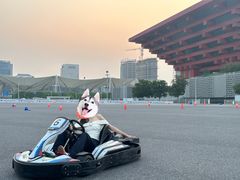 -赛卡联盟卡丁车馆(上海世博店)