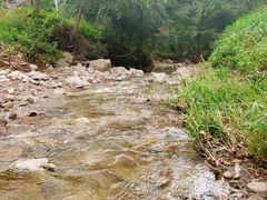 -参仙谷生态旅游度假区