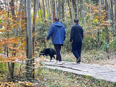-青龙山国家森林公园