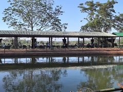 -侯臣咖啡文化村