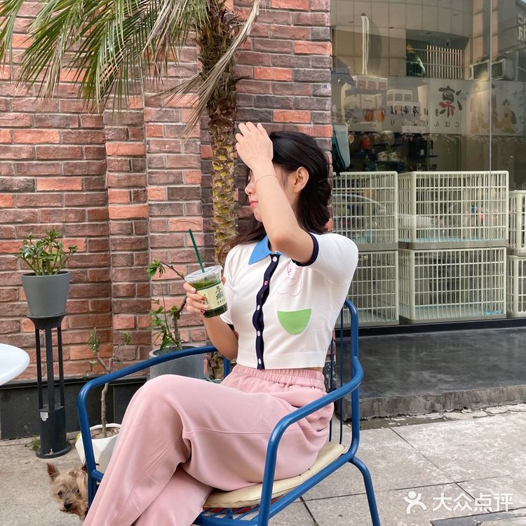 常州一家可以免费撸狗狗的下午茶店