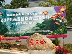 -海南霸王岭国家森林公园