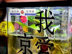 -民谣未来吧
