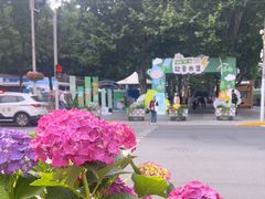 -静安公园(静安寺街道)
