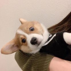 -丽都整形美容医院·全国连锁旗舰店