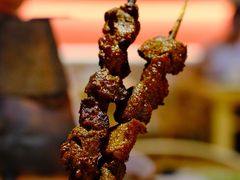 烤红柳枝羊肉串-京炭铜锅涮肉·羊蝎子·羊肉炉(保利·时光里店)