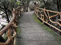 -燕子河大峡谷天坑仙境