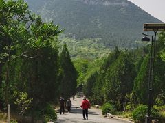 -千佛山风景名胜区