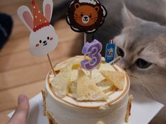 -DRUNK BAKER(上海陕康里店)