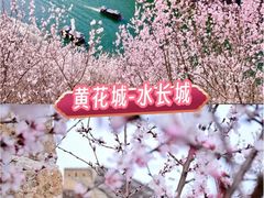 -居庸关长城