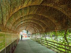 -瀛洲生态公园