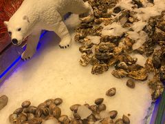 -比尔森韩式烤肉自助(绿园店)