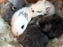 -玛利娅蒙特梭利双语幼儿园·托育(百家湖直营园)