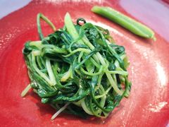 -诺莱仕游艇会