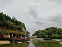 -广州市帽峰山景区