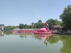 -莲花池公园