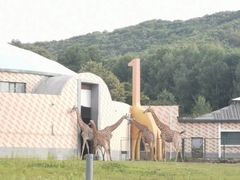 -哈尔滨北方森林动物园