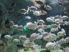 -常州海昌海洋探索馆