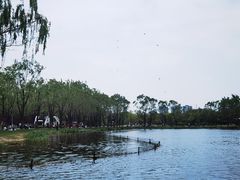 -朝阳公园游乐园