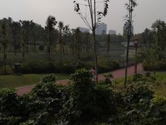 -眉山湿地公园(东坡区)