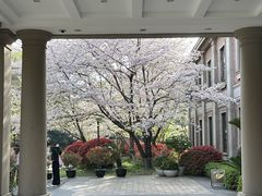 -上海瑞金洲际酒店