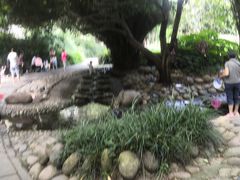 -成都市活水公园