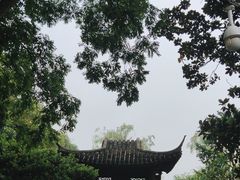 -西湖外事游船(花港观鱼码头)