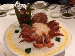 -洋房火锅(上海新天地南北里店)