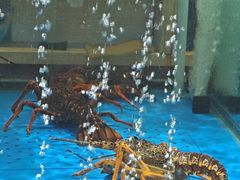 -蟹之国·精品蟹料理(极地店)