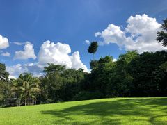 -中国科学院西双版纳热带植物园