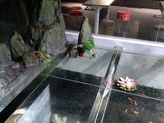 -大塘金香草谷