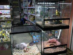 -三旗百汇商品城
