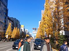 -秋叶原电器街