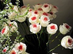 -孙家外婆•长春地标美食新名片(红旗街万达店)