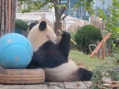 -大连森林动物园