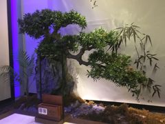 -绿茶餐厅(成都大悦城店)