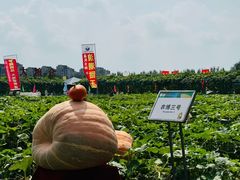 -长春农业博览园