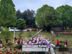 -铁山坪森林公园