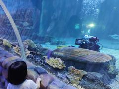 -华夏文旅海洋公园