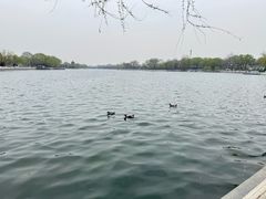 -后海公园