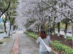 -玉山公园
