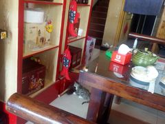 -王村姑老土炕莜面村(桥东店)