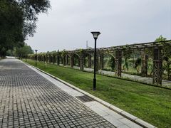 -北京张裕爱斐堡酒庄
