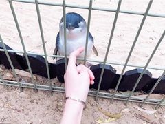 -费瑟代尔野生动物园