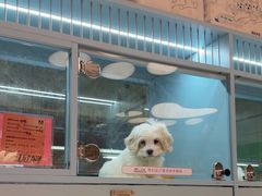 -FAELING PETS美天灵宠物(合生汇店)