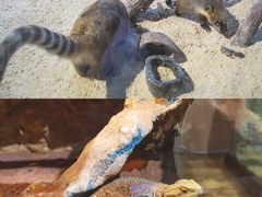 -温都水城·水梦奇缘