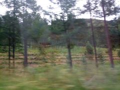 -塞罕坝国家级自然保护区